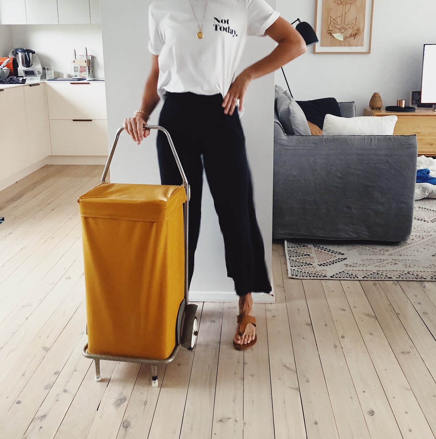 The Joyrolla Story: Reinventing a Classic (Shopping Cart) for the Modern Day